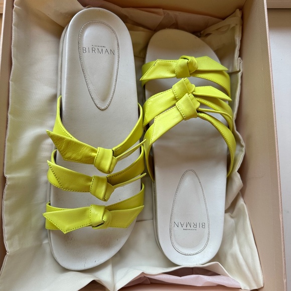 ALEXANDRE BIRMAN Women's Lolita Leather Pool Slide Sandals sz 39 - Picture 1 of 7